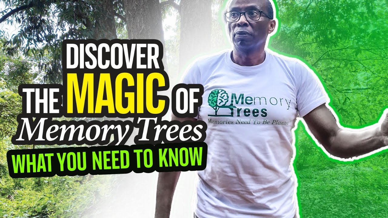 Here Is What You Need To Know About Memory Trees; Watch This And Be ...