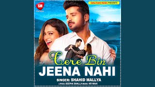 Tere Bin Jeena Nahi (Hindi)