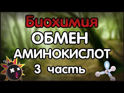 Биохимия. Лекция 41. Обмен аминокислот. 3 часть. Обмен отдельных аминокислот