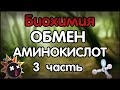 Биохимия. Лекция 41. Обмен аминокислот. 3 часть. Обмен отдельных аминокислот