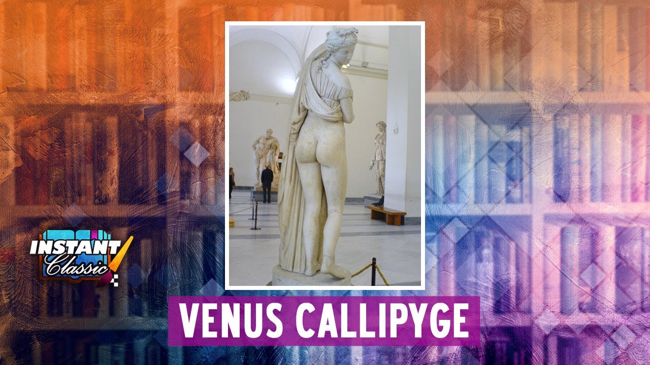 Venus Calipigia – Los políticos Veracruz