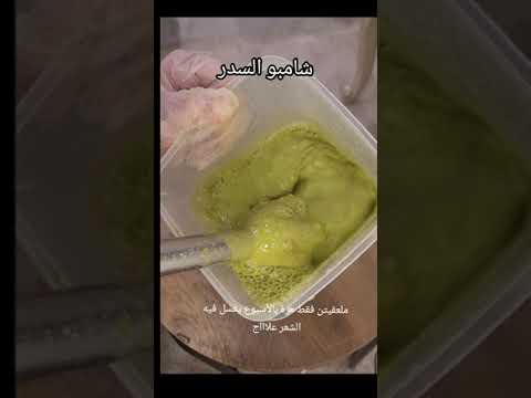 طريقة شامبو السدر شامبو طبيعي سدر عضوي