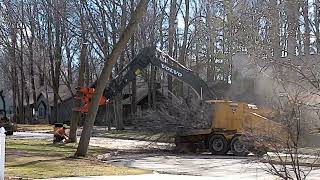 High Speed Tree Removal