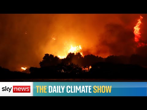 Daily Climate Show: Turkey on fire, and reforestation not the only answer.