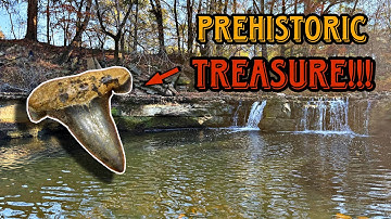 We found FOSSIL shark teeth where we LEAST expected!