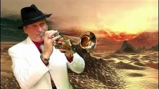 Wunderland bei Nacht - Cover von Alex mit Trompete [Alex-Band Berlin]