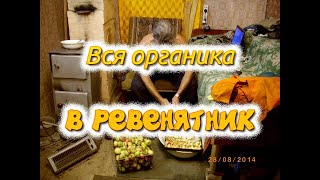 Вся органика в ревенятник или как я повышал плодородие своего песка