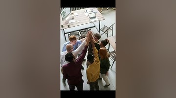 Dimpho Stakeholder Video