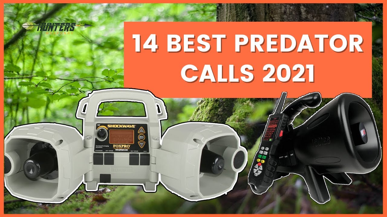 14 Best Predator Calls 2021 Review YouTube