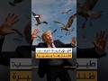 Trump Pauses His Speech After Seeing Birds I Thought It Was A Drone 