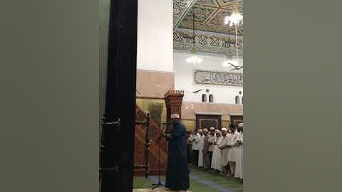 ما تيسر من سورة المائدة بصوت فضيلة الشيخ محمد رشدي أبو الدهب من مسجد الزواوى بسلطنة عمان