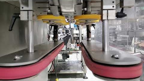 NJM-CLI model Unicap-150 inline capper retorquer with cap elevator