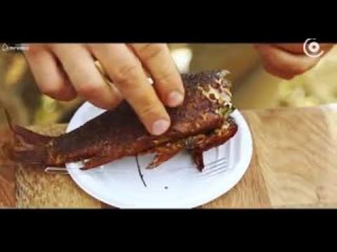 თევზის შებოლვა  ზიარის ტბა   თევზაობის დრო • Fishing Time