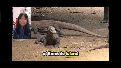 typo A3 should be 8.3, cambridge video