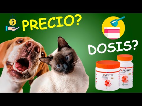 Video: Diferencias entre un mastín y un Bullmastiff