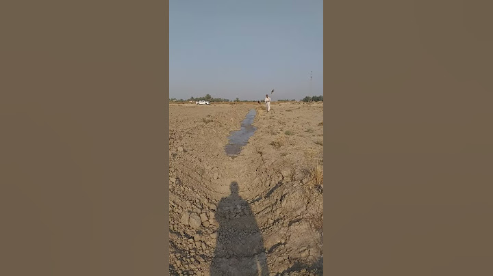 عادت المياه إلى مجاريها بعد ٣٥ سنه، ، عدنا الى الارض بعد التقاعد