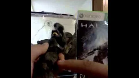Pt 2 reveiw halo 4