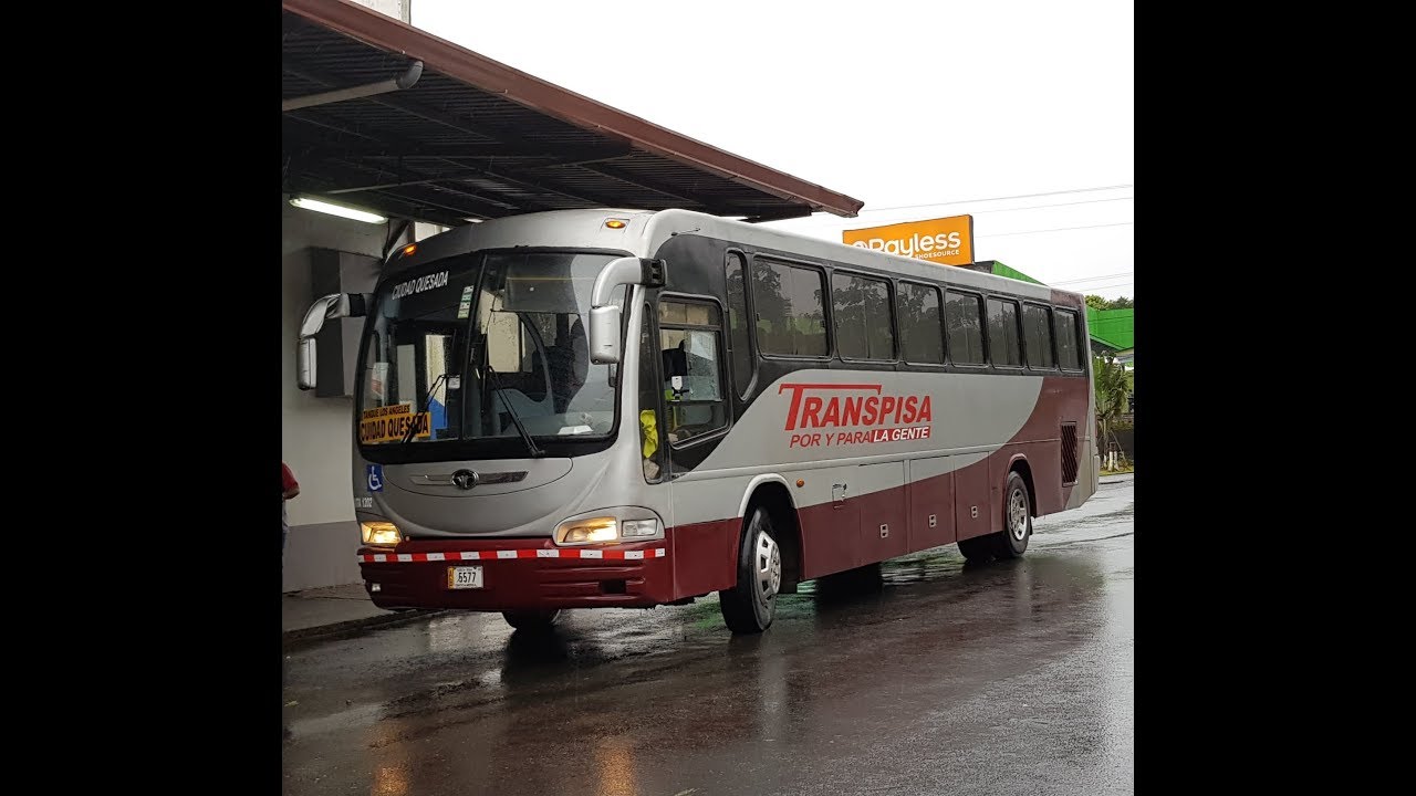 bus tours quesada