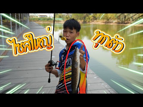 ผลสลากกินแบ่งรัฐบาล วันที่ 1 พย. 2567 ผลสลากกินแบ่งรัฐบาล วันที่ 1 พย. 2567