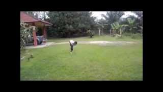 Amirulah ''Besi Karat'' Fazi Training II -JumpMotion