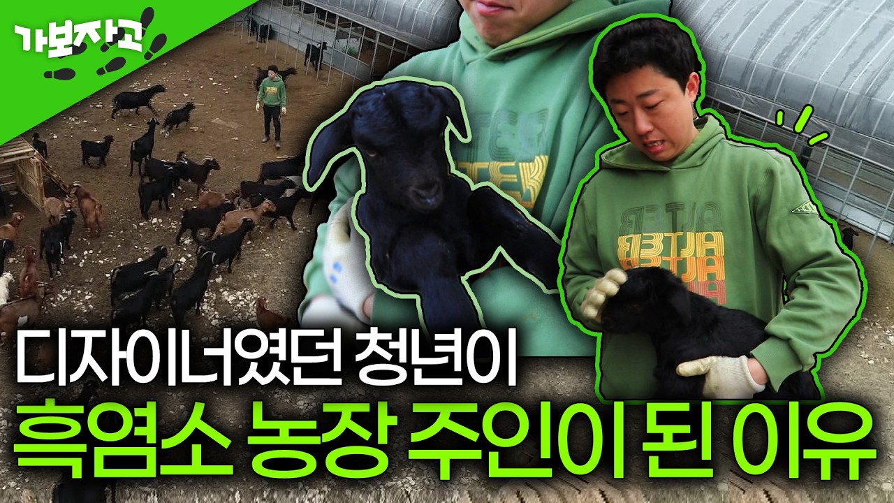 연봉 대신 염소? 디자이너였던 청년, 현타 맞고 흑염소 선택한 사연은 [가보자고]