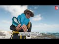 Mapping plastic waste on the Aldabra atoll • RFI English