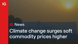 Climate change surges soft commodity prices higher screenshot 2