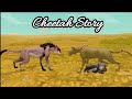 Wildcraft | Cheetah Story |(Read Desc)