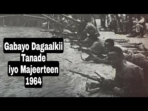 Gabayo Leelkase Iyo Majeerteen Dagaaladii 4 Ta Sano Socday 1961 1964 Dib Umilicso Taariikhda