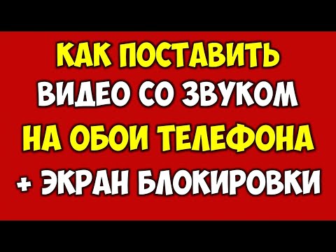 Как поставить видео на обои телефона андроид и айфон 👉 Видео обои со звуком\\музыкой на андроид 2021