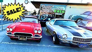 Is This the COOLEST Used Car Lot Ever ??? 🤷‍♂️🤔🏆