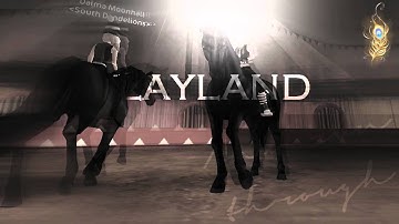 SSO-Carousel MEP Part 5