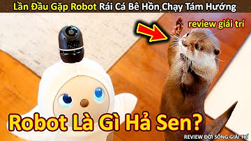 Lần đầu đụng độ Robot Thông Minh Rái Cá Sợ Xanh Mặt || Review Giải Trí Đời Sống