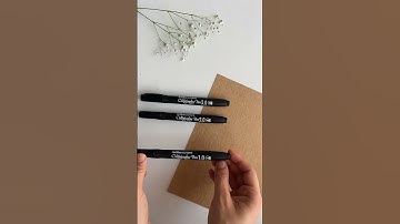 BEST calligraphy pen under 200rs #calligraphyforbeginners #calligraphypens #youtubeshorts