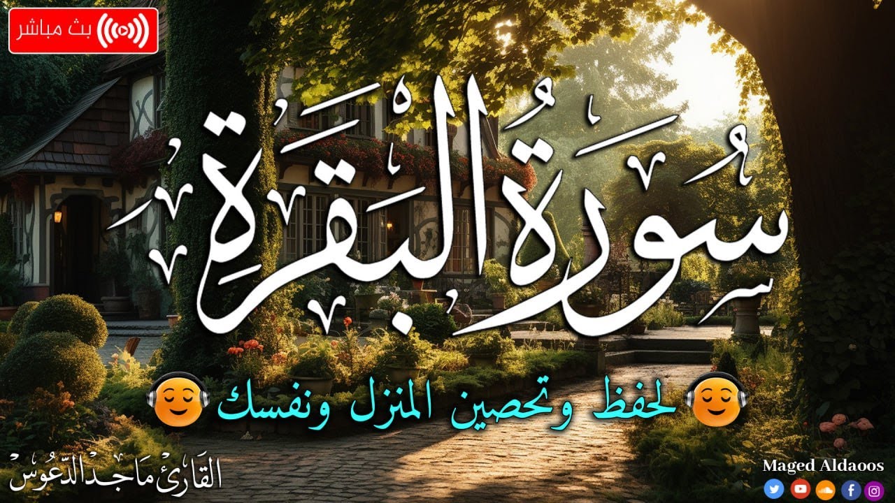 سورة البقرة راحة وسكينة🤍بصوت هادئ ومريح جدا🤍تلاوة هادئة راحة نفسية 😴ماجد الدعوس albaqara