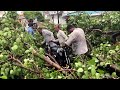 Deadly storm tears through India's most populous state