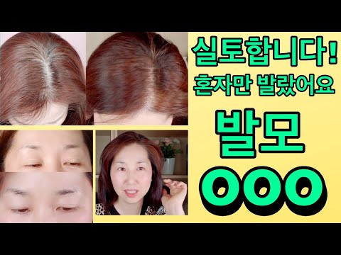 카페인 탈모 관리 / 탈모예방 발모 성분 + 아이백 눈가 주름 없애는 법 ☺︎ 카페인  커피빈 오일 효능