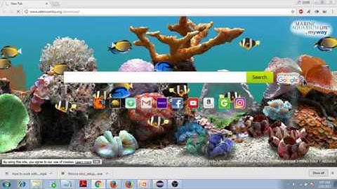 How to Execute Test script with IE Browser in Selenium WebDriver