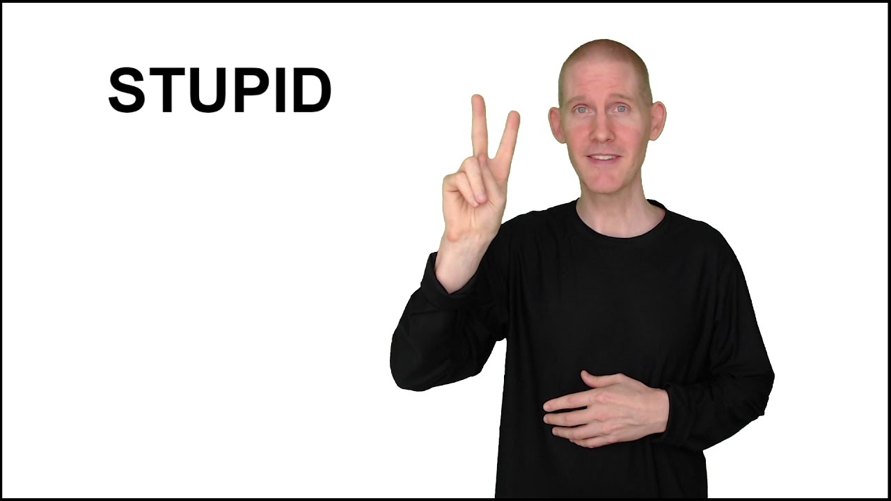 How To Say Stupid In Sign Language Update Abettes culinary