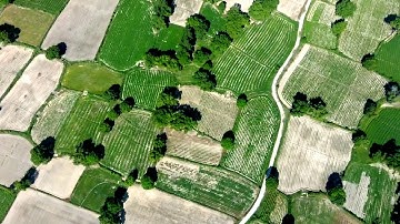 Ruộng bậc thang Tà Pạ với gốc nhìn từ flycam vào đầu mùa mưa, Núi Tô, Tri Tôn, An Giang 30/05/2019