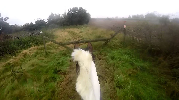 Fjelsted, XC 90 Gopro