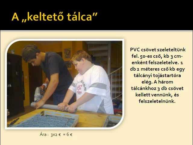 Keltetogep Hazilag