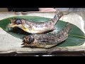 ヤマメ、鮎-Yamame trout & Ayu Fish-Japanese food【江戸長火鉢 137杯目】