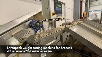 Brimapack Brokkoliesortiermaschine / Broccoli sorting machine