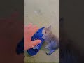 Https Vt Tiktok Com ZSBtT8Bf Https Vt Tiktok Com ZSBtT8Bf