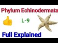 Animal kingdom /Phylum Echinodermata / Echinoderms classification in Hindi / General character