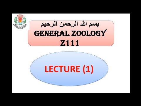  1   أفضل شرح للأنسجة الحيوانية