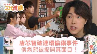 愛回家之三代同糖|李茵彤智破連環偷貓事件 侯雋熙被揭開真面目!(繁/簡字幕)|車婉婉|吳若希|李茵彤|趙浚承|侯雋熙|第11集劇集精華|TVB港劇精華 #愛回家 #愛回家之三代同糖 #搞笑