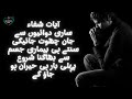 Ayat-e-Shifa: Your Path to Healing and Relief