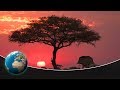 Serengeti - The adventure